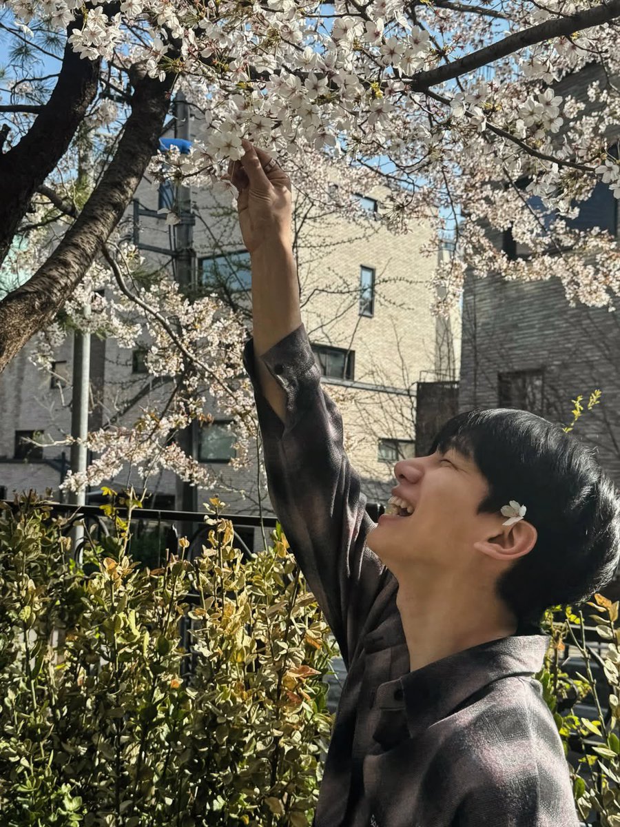 하니행뵹 tweet media