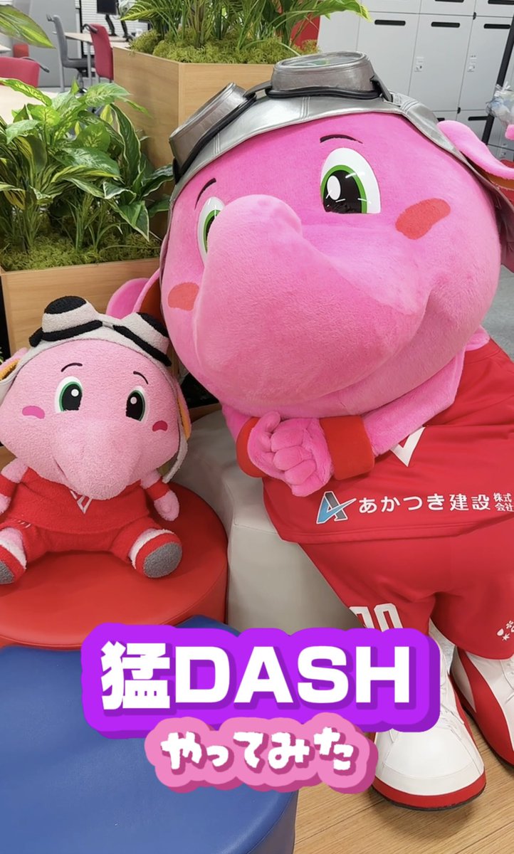 今日はTikTokでジャンボくんの別動画もアップ....🆕もしジャンボくんが寝坊をしてしまったら😱💤というシチュエーションで『猛DASH /ISSEI』に挑戦🌟寝坊してアセアセしているジャンボくんをぜひご覧ください🐘🤭

動画は▼
vt.tiktok.com/ZSH5dosgj/