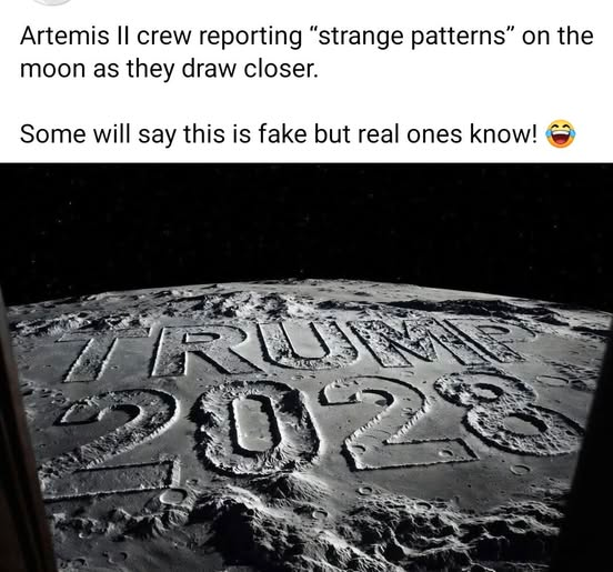 SaltyGoat tweet media