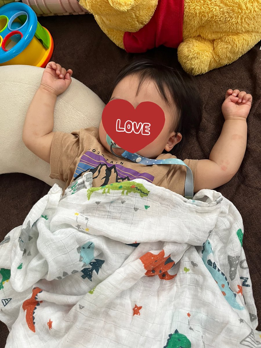 ねねボンバー🍑💣〜武丸を添えて〜 tweet media