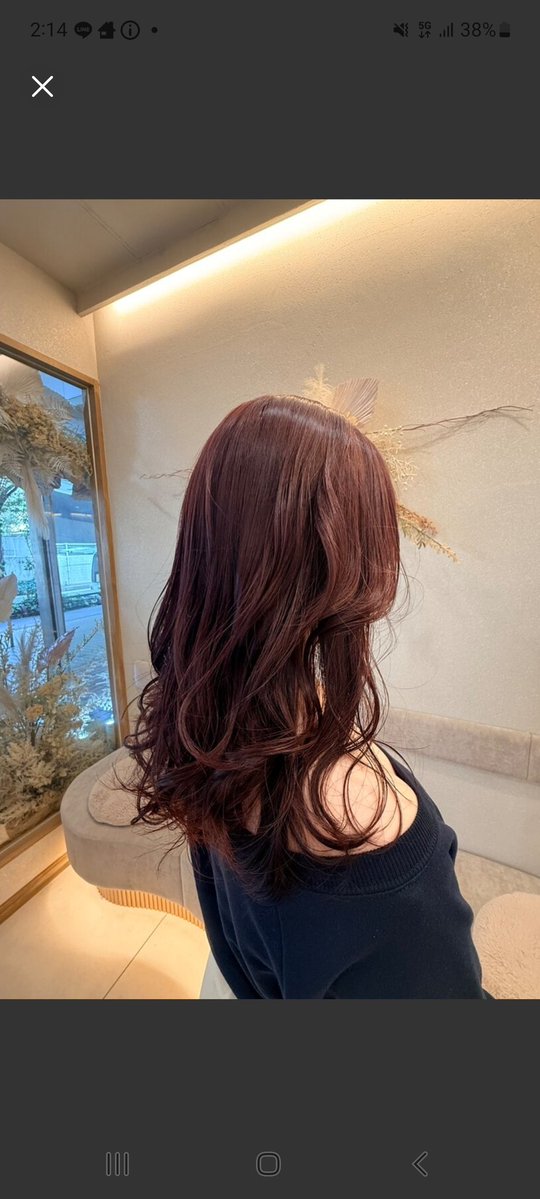 MikI(❁´ω`❁) tweet media