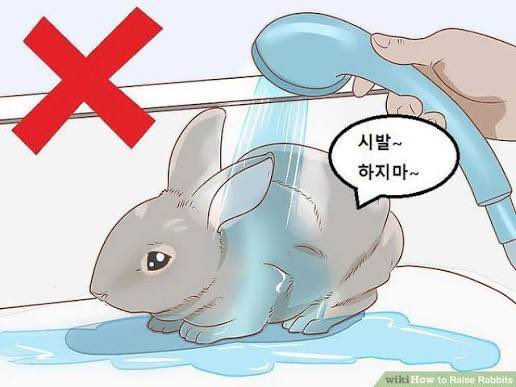 두봉이.. tweet media