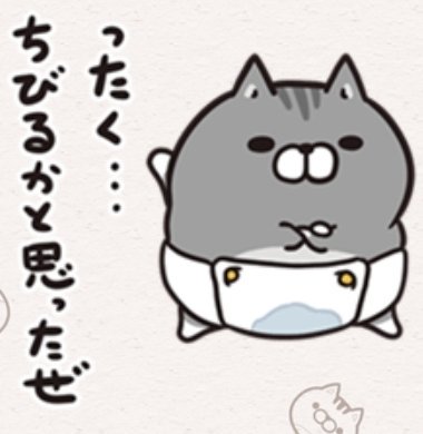 カピ坊 tweet media