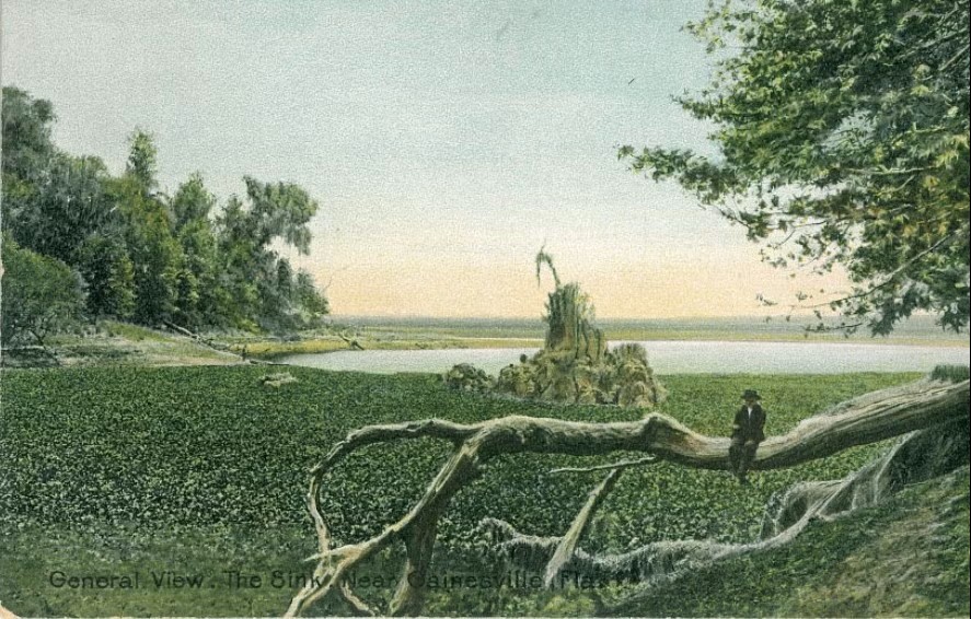 Florida State Parks tweet media