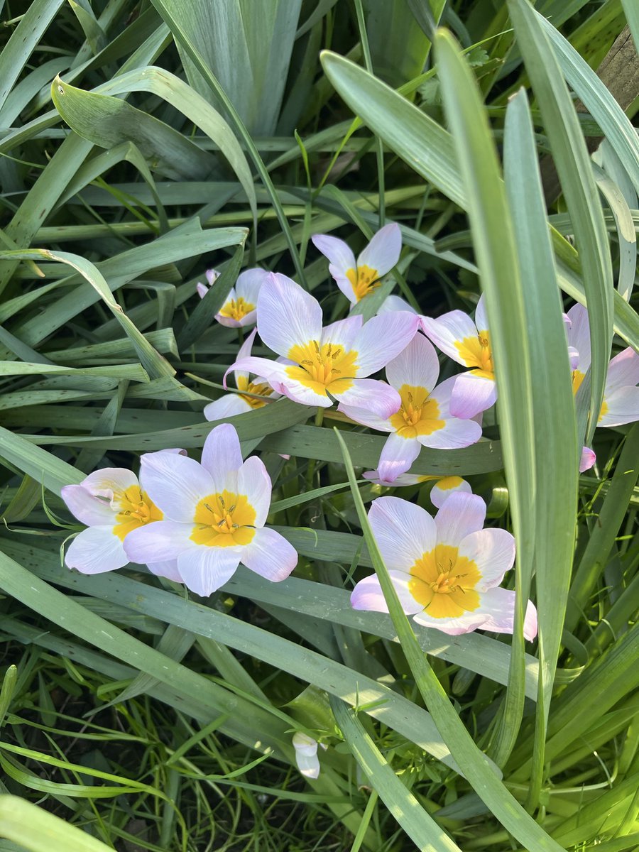 Karen Anstee tweet media