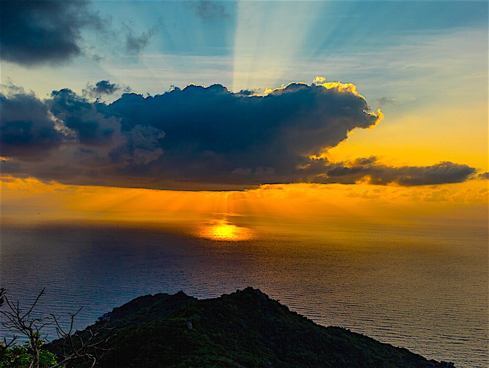 The Funky Turtle® tweet media