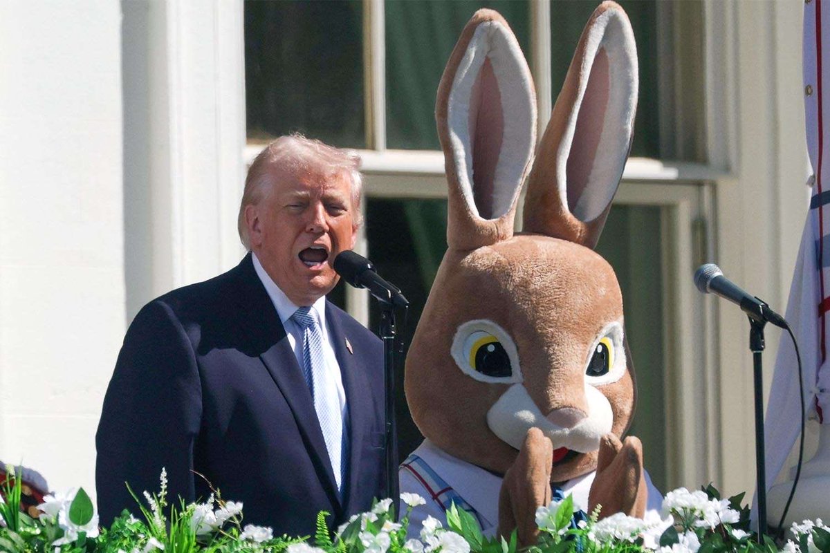 Kmele 🖐 tweet media