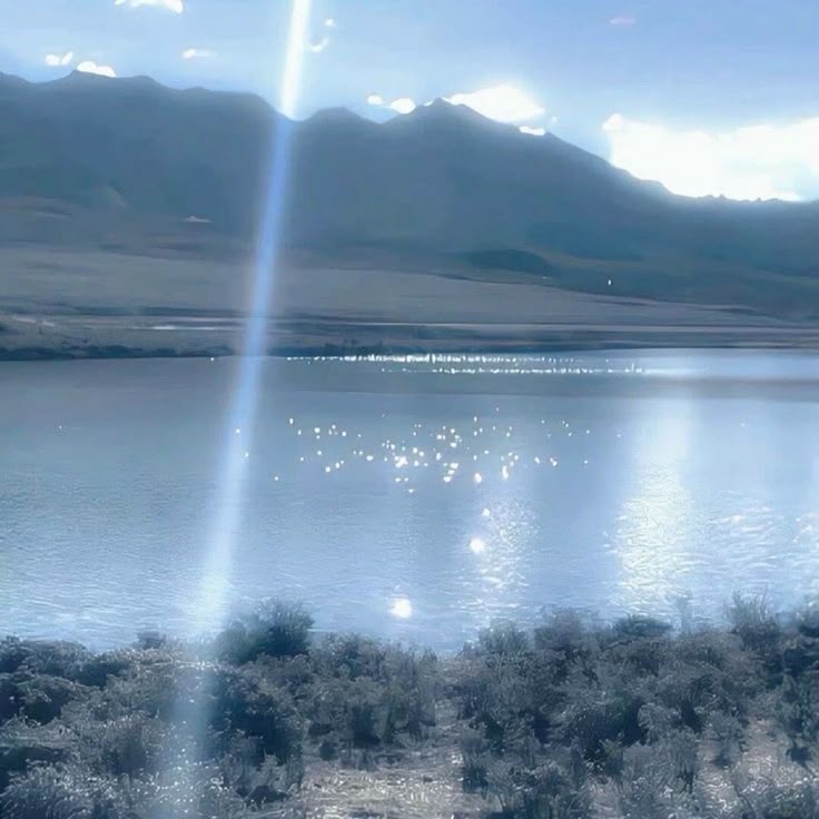 sze is RED tweet media