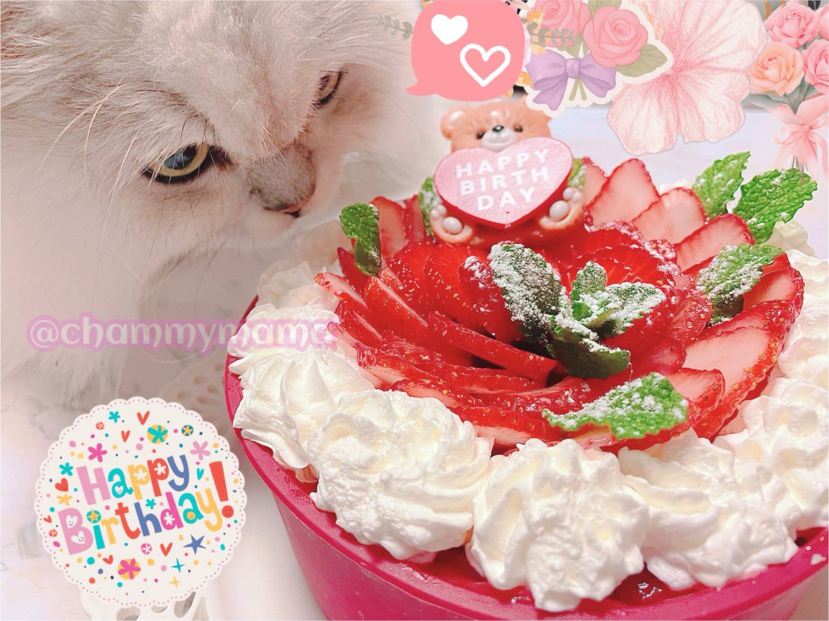 chammymama's tweet photo. ちゃみぃﾐ^•ω•^ﾐ<今日はぼきゅの"(ﾉ*>∀<)ﾉ♡ฺ*大大大好き♪なぱぱちゃんのお誕生日でちた🎉ぱぱちゃんおめでとでしゅ🥳ままは昨日から頑張ってケーキ作ったりお夕飯もおいしそーなの作ってたにょ。🎁は腰痛持ちさんのぱぱに腰枕だって。お便乗して自分のも買ってたのはﾅｲｼｮのﾋﾐﾂにゃよ😸 https://t.co/IPYKmHndJz