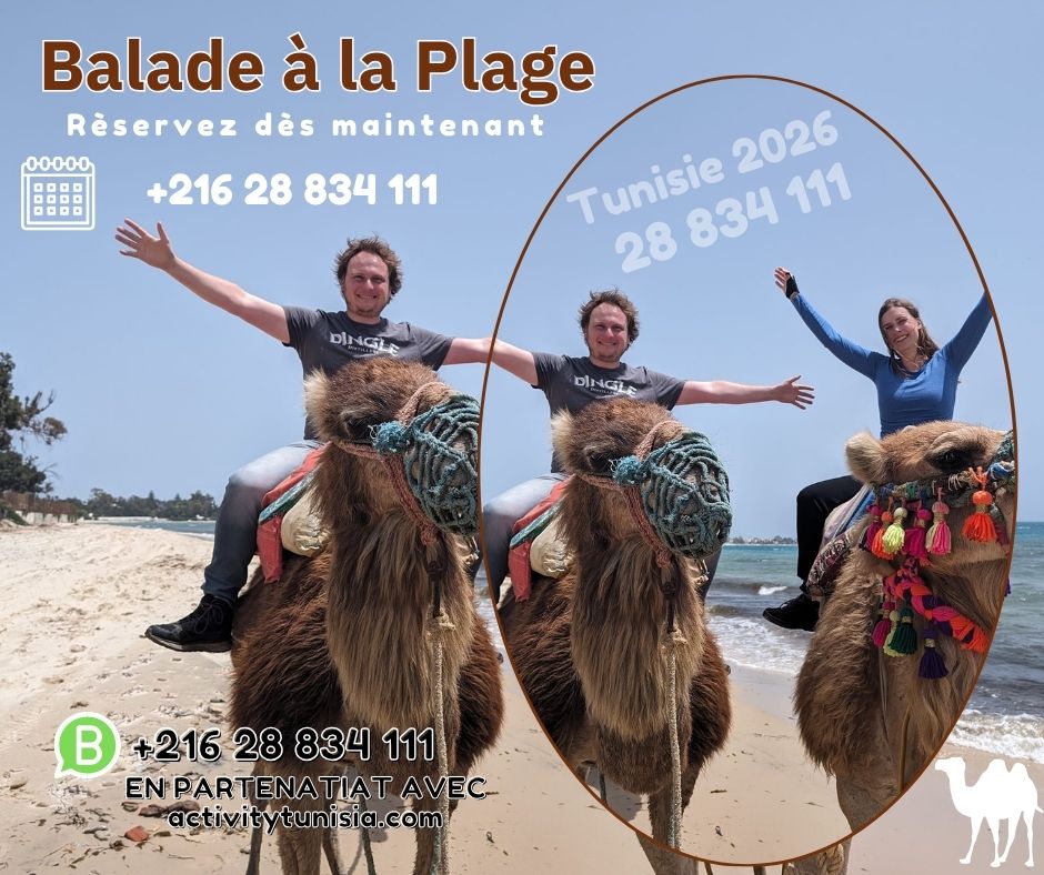 ActivityTunisia's tweet image. Balade à chameau sur la plage en Tunisie

📲+21628834111

🌐 activitytunisia.com

#tunisia #chameau #balade #plage #mer #voyage #vacances #tourisme #experience #nature #detente #romantique #famille #amis #travel #holiday #sunset #photo #sensation #bristol #oxford #cambridge