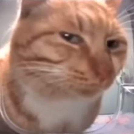 스티브 tweet media