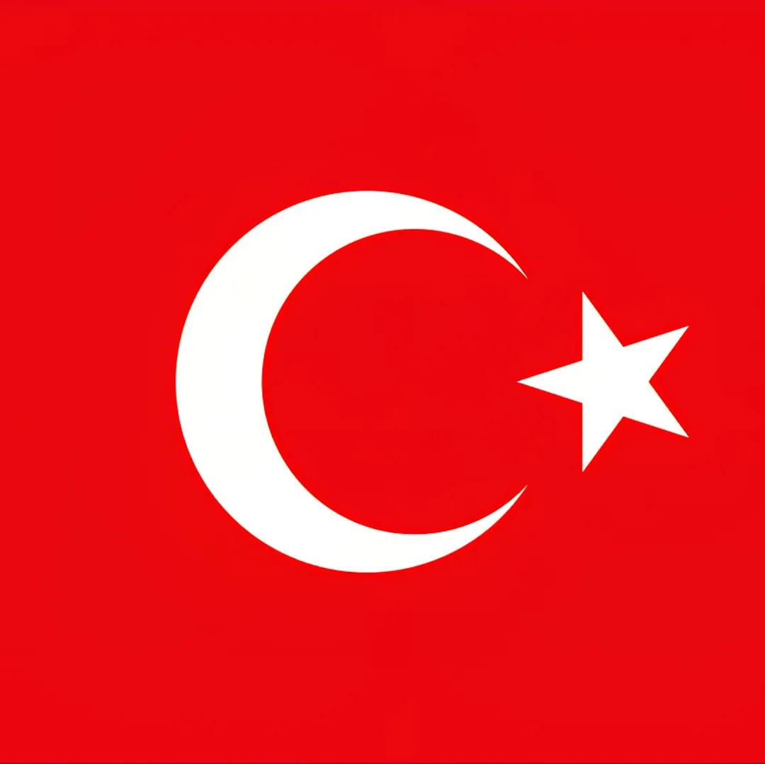 Mientras en la política mundial todo el mundo se alinea con los poderosos, la honorable postura de España a favor de la paz y el apoyo incondicional de Turquía a dicha postura constituyen un acontecimiento histórico. España y Turquía siguen siendo la conciencia de sus respectivas