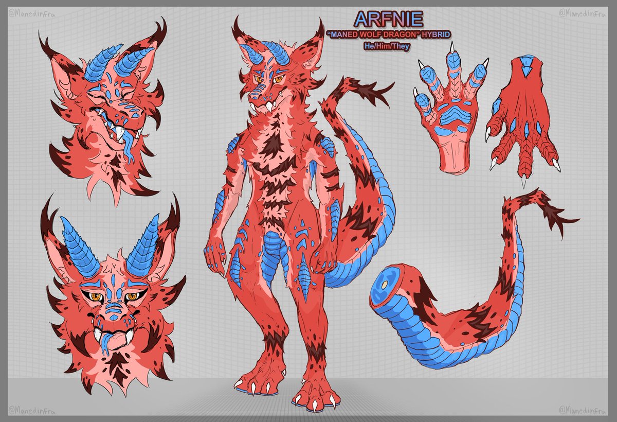 manedinfra's tweet photo. Finished my latest additional OC couple of days ago, Arfnie. Combo between, dragon, lizard, maned wolf etc. etc... x3 https://t.co/VrWE3cFvGg
