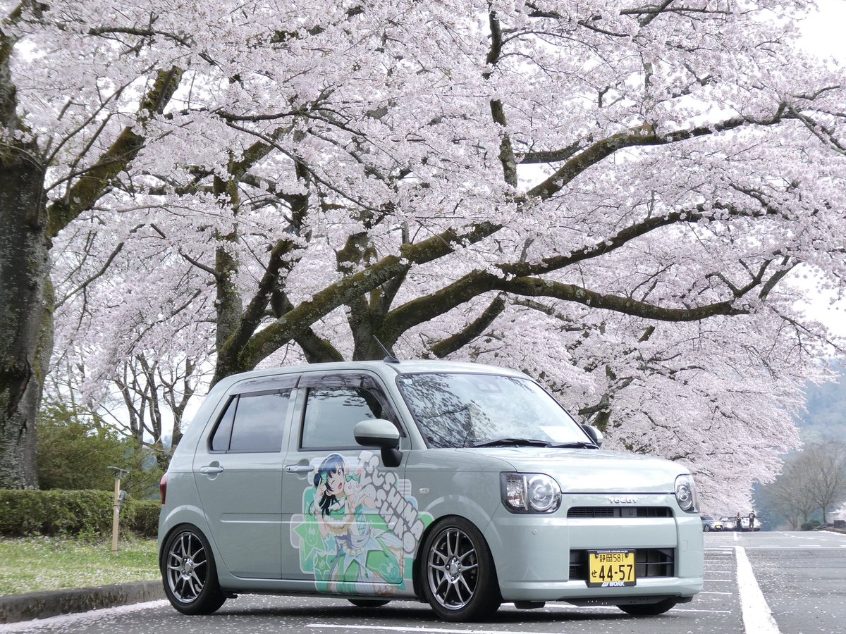 #これを見た人は愛車の背景が桜の画像を貼れ

インスタにものせたけどこっちにも！🌸