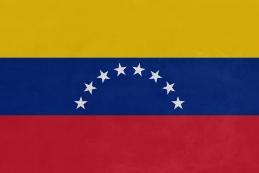 CriptoNoticias tweet media