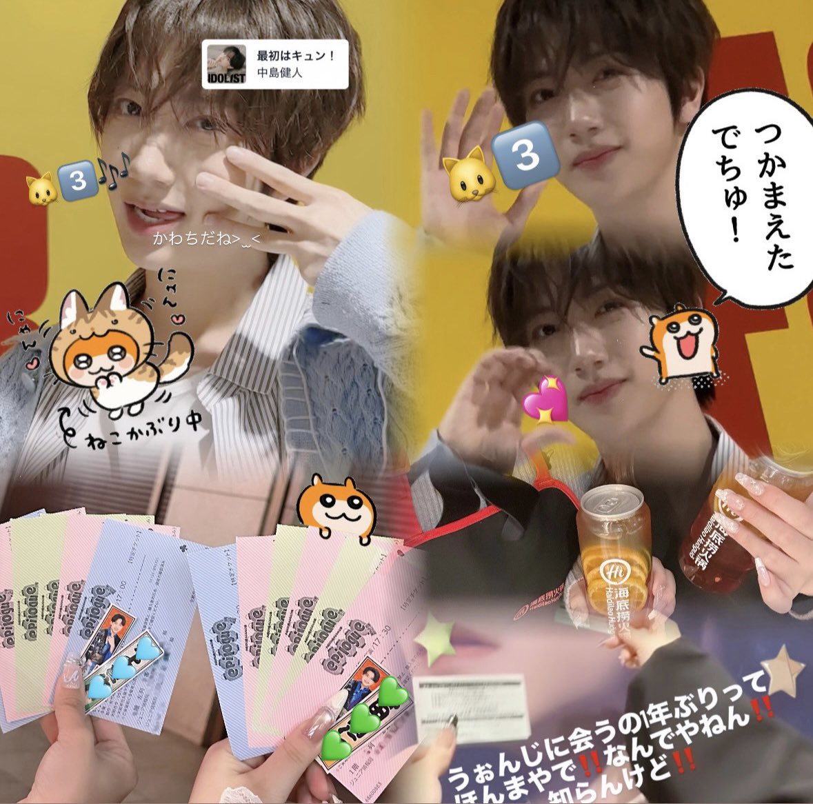 hw_oy_1's tweet photo. 今更ですが💧
大阪きてくれたのでお邪魔しました⭐️
🐱3⃣お元気そうで何より>  ̫ <🎶
またね~🐱👋︎💕︎
しっかり他界キメ込んでましたので
普通に🧸と🇰🇷よへんしたりしておりました2025✌🏻🌟(今更)
しれっと現場に行くかもしれないのでその際はよろしくお願いします🤙🏻💕(フォロワー様各位)💖 https://t.co/nZNfnZQejY