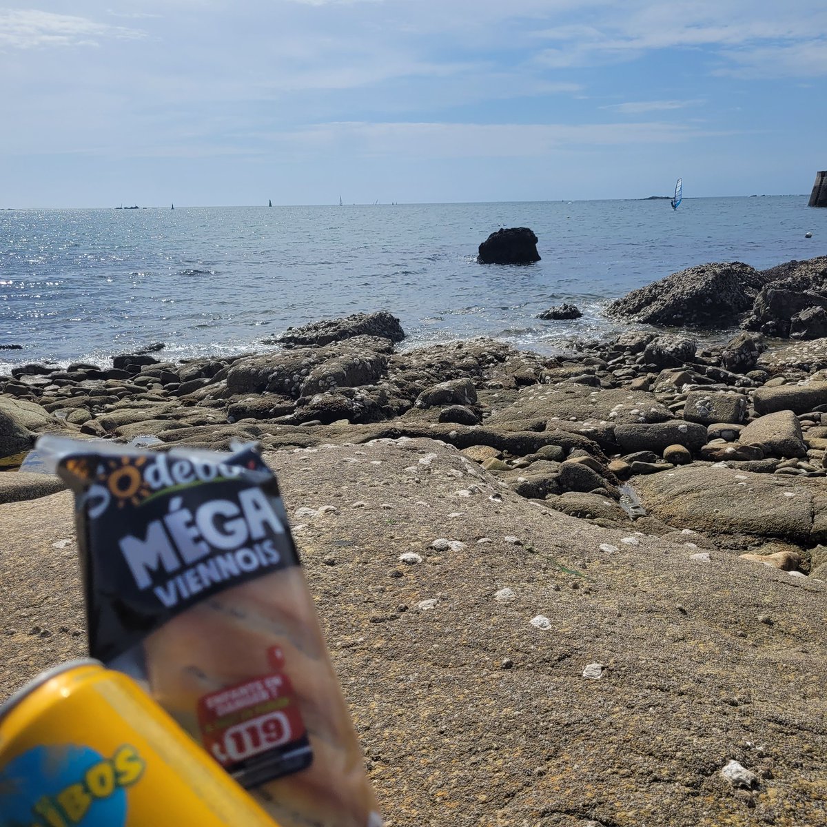 MiraiPanda 🌼 tweet media