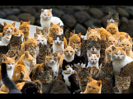 おとうさん@お料理bot🩷🧚🏻‍♀️🎀🫖🫰🍜🥘🍴😻 tweet media