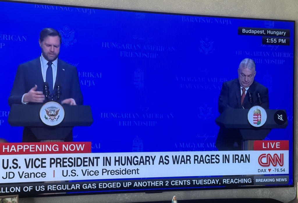 Beach Roy ☀️🏖️🌊🤙 tweet media