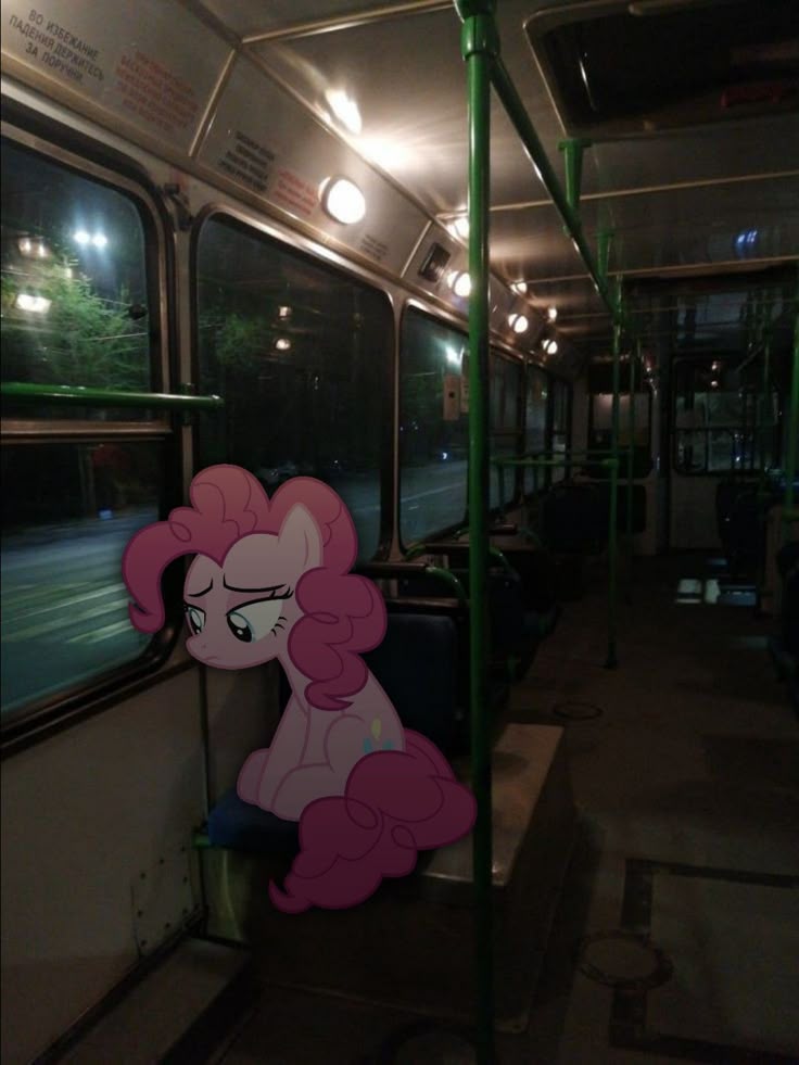 ✧ 𝗞𝗮𝗿𝗲𝗻⁹엘🪻 tweet media