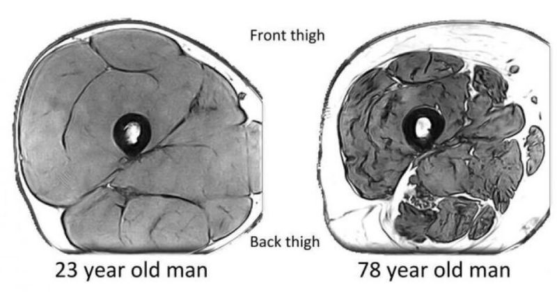 Mike Behr tweet media