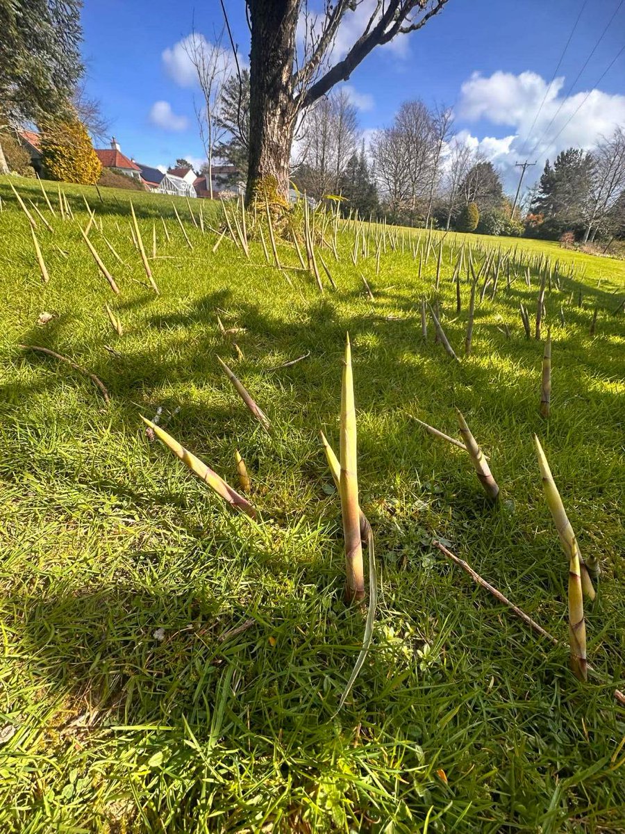 เฟย์ 🛫 tweet media