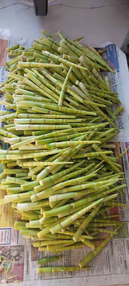 เฟย์ 🛫 tweet media