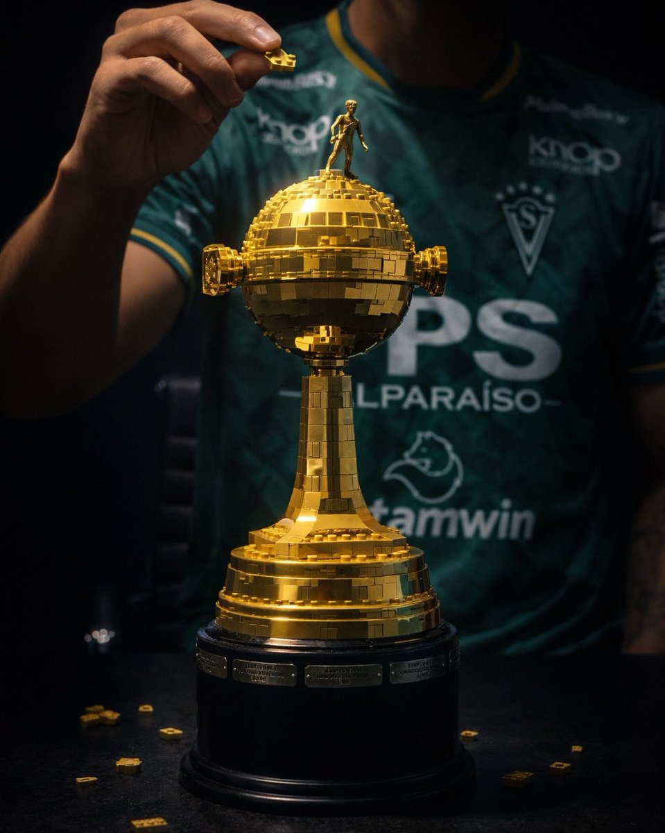 Santiago Wanderers tweet media