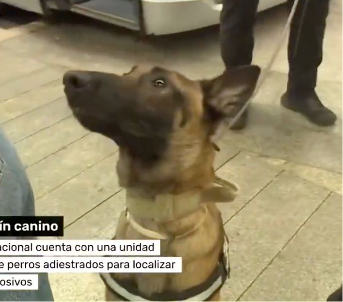 WhatIsInaName tweet media