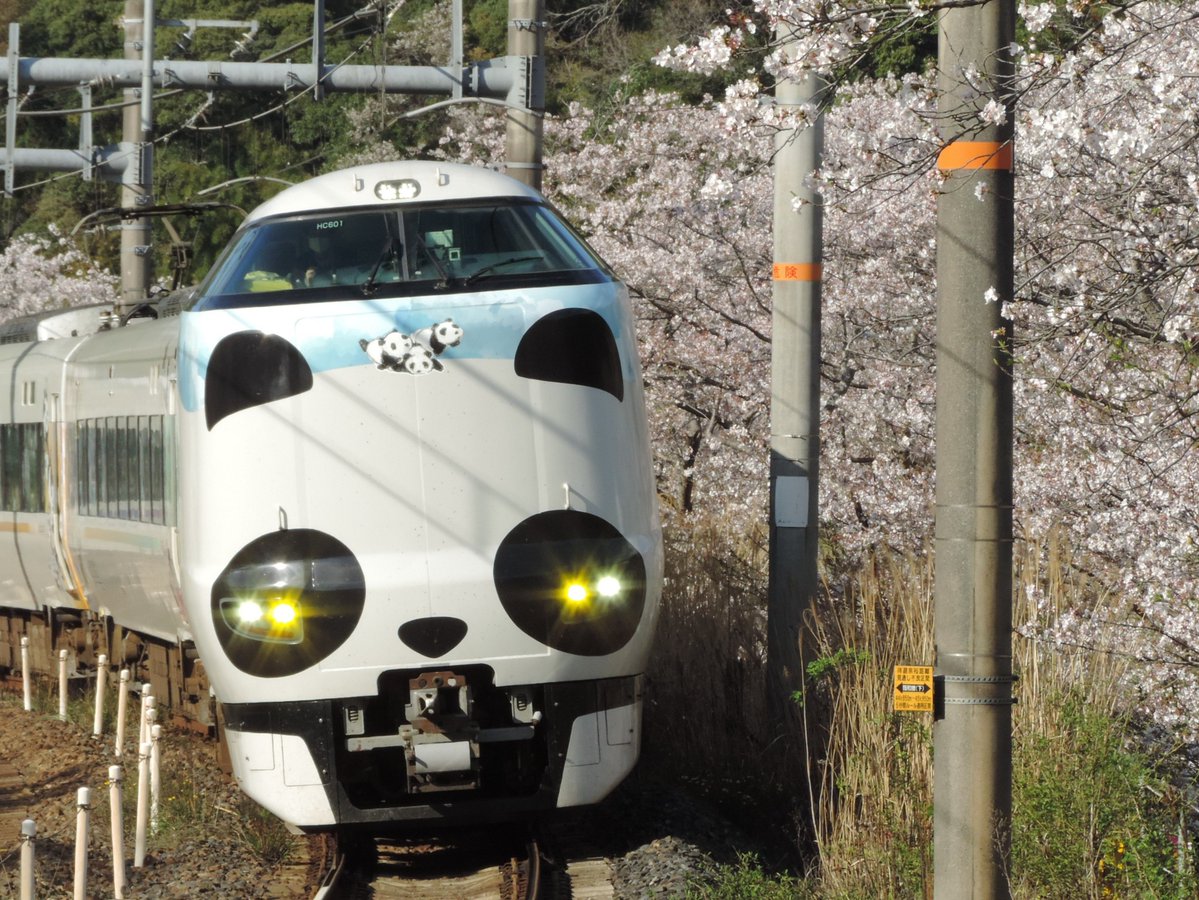 ササうーま🎋 tweet media