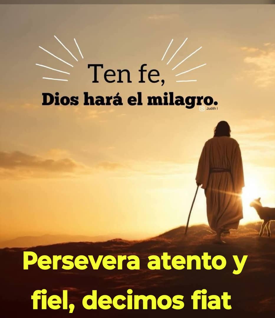 DIVINA VOLUNTAD tweet media