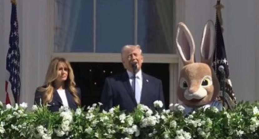 Leí que el conejo ese es Marco Rubio lol.