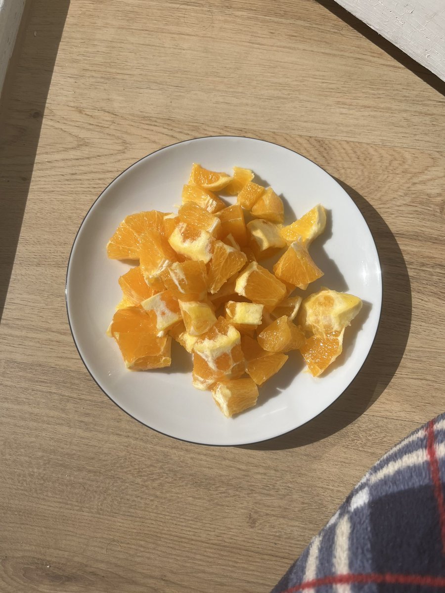 Shambhavi tweet media