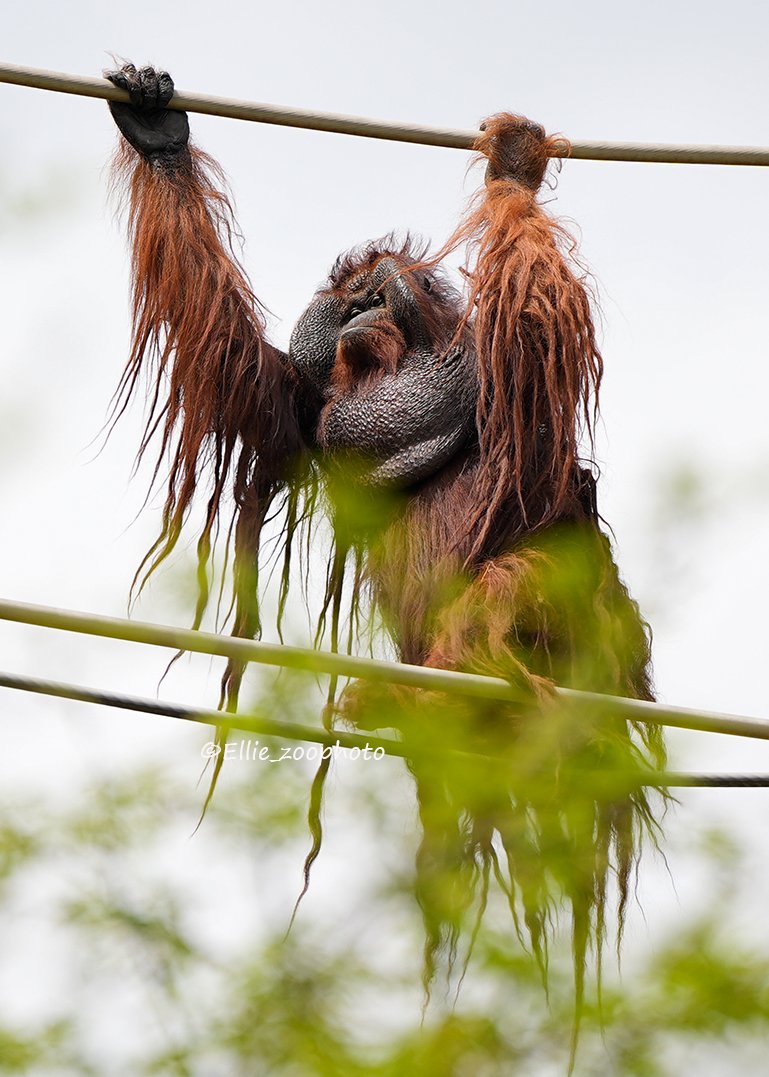 エリー tweet media