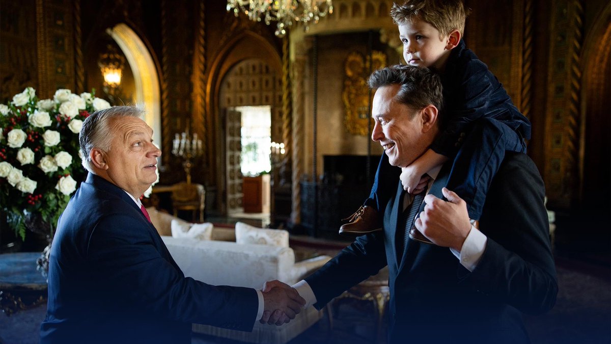 Steve Arnold tweet media