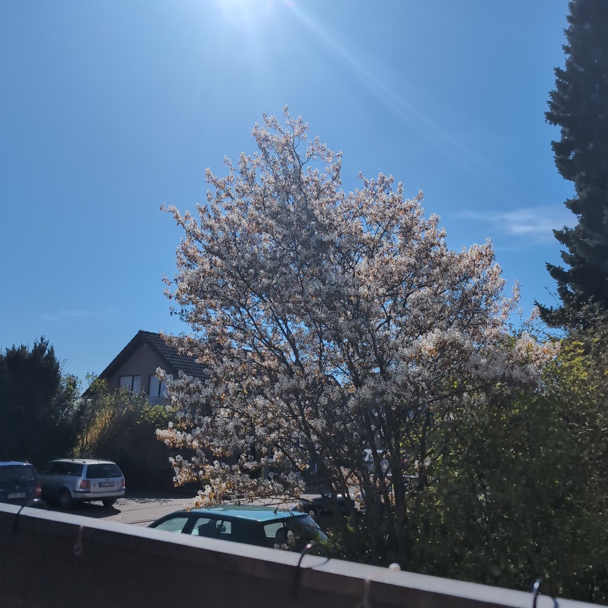 Jörni ⚽ tweet media