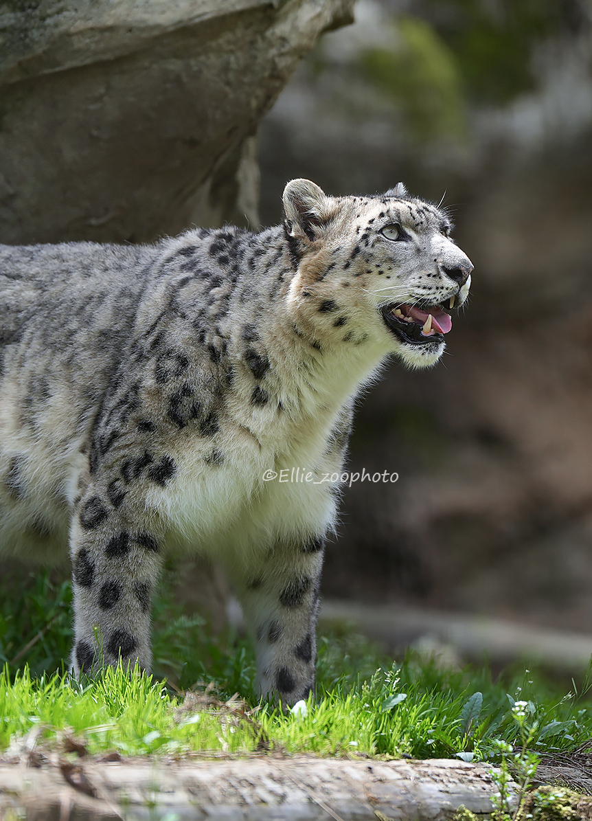 エリー tweet media