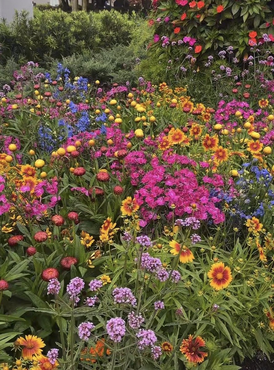 AMB Family Travel Co. tweet media