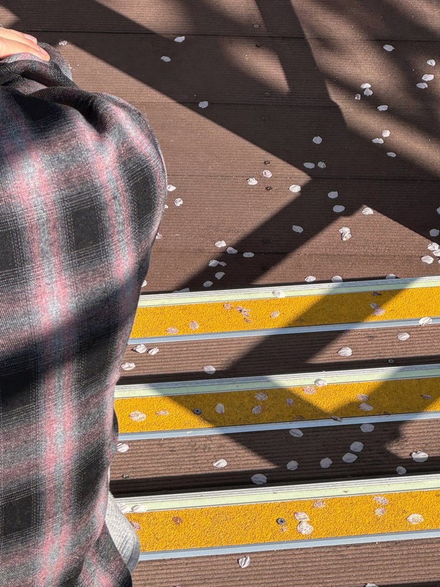 상혁님이랑 정한이 얼마나 친한건지 감도 안옴..일본여행에 이어서 벚꽃 막차라니,,, 
쫑쫑이 시선에서 보니 다른맛이네..🥹 #정한