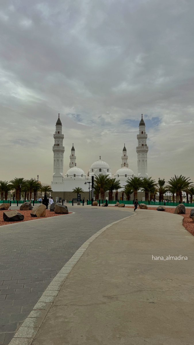 هناء المدينة tweet media