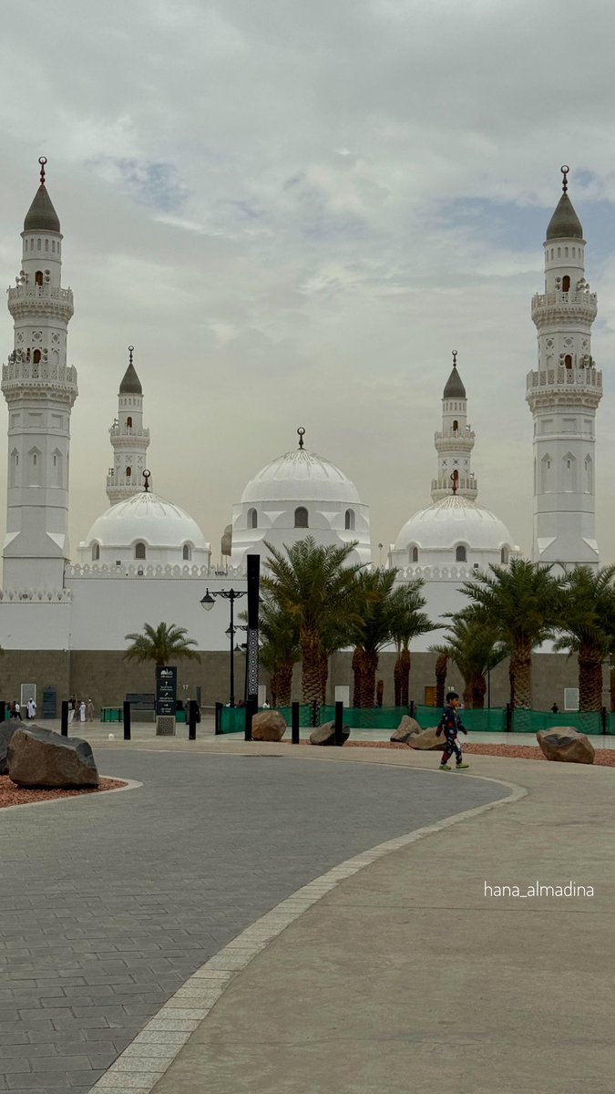 هناء المدينة tweet media