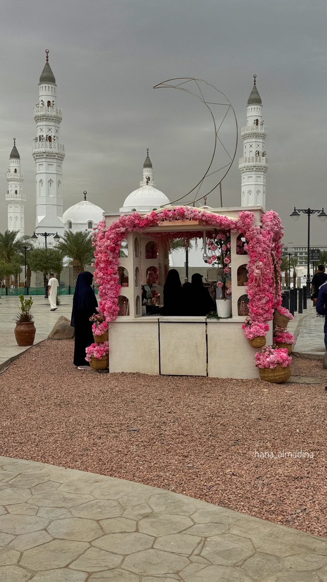 هناء المدينة tweet media