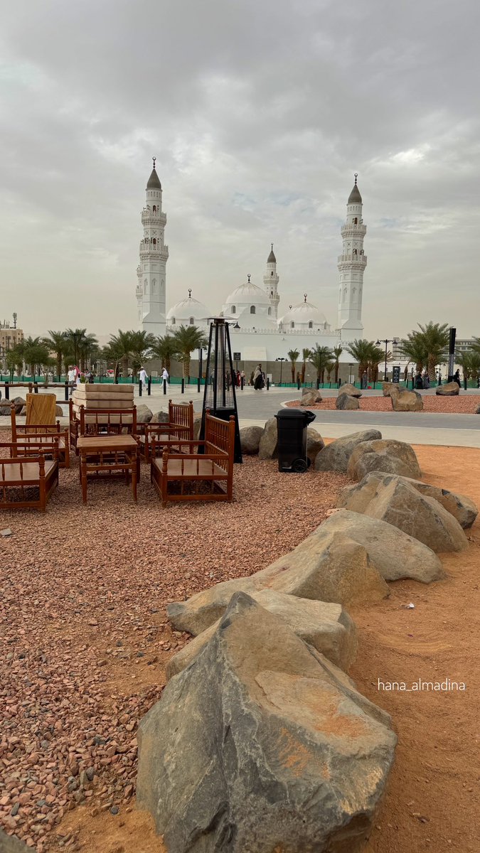 هناء المدينة tweet media