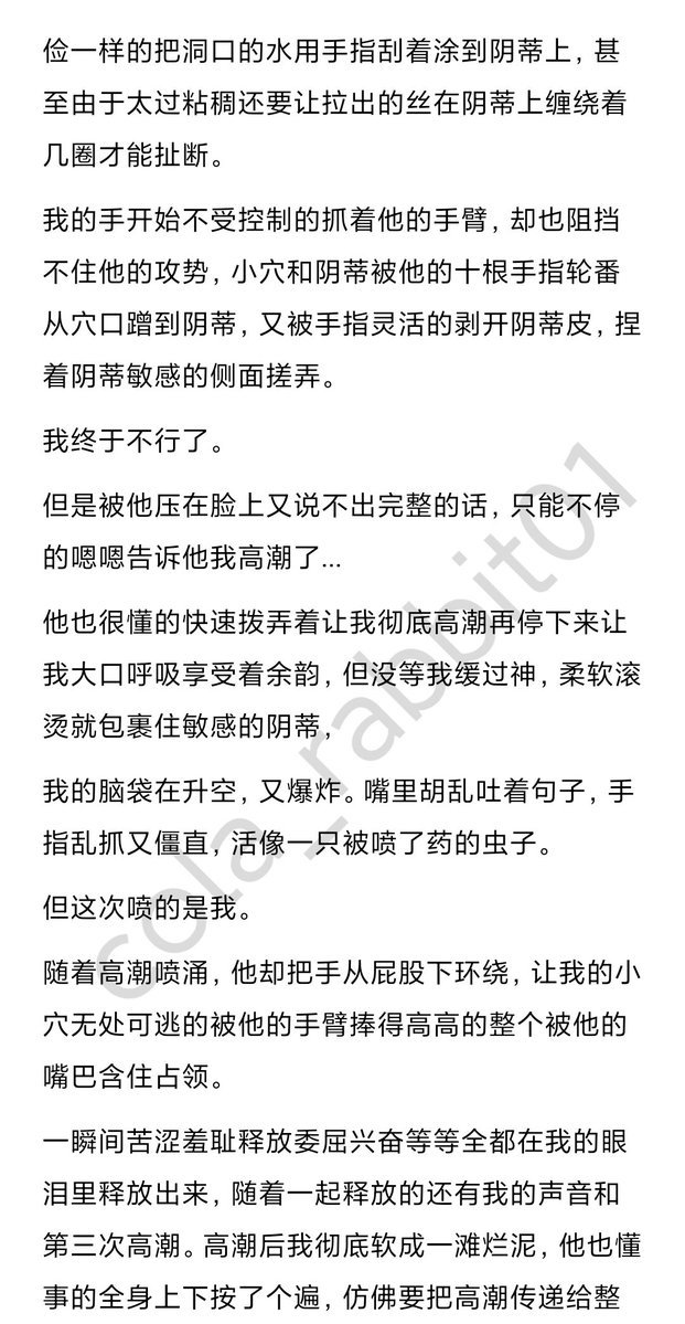 猪猪脑袋 tweet media