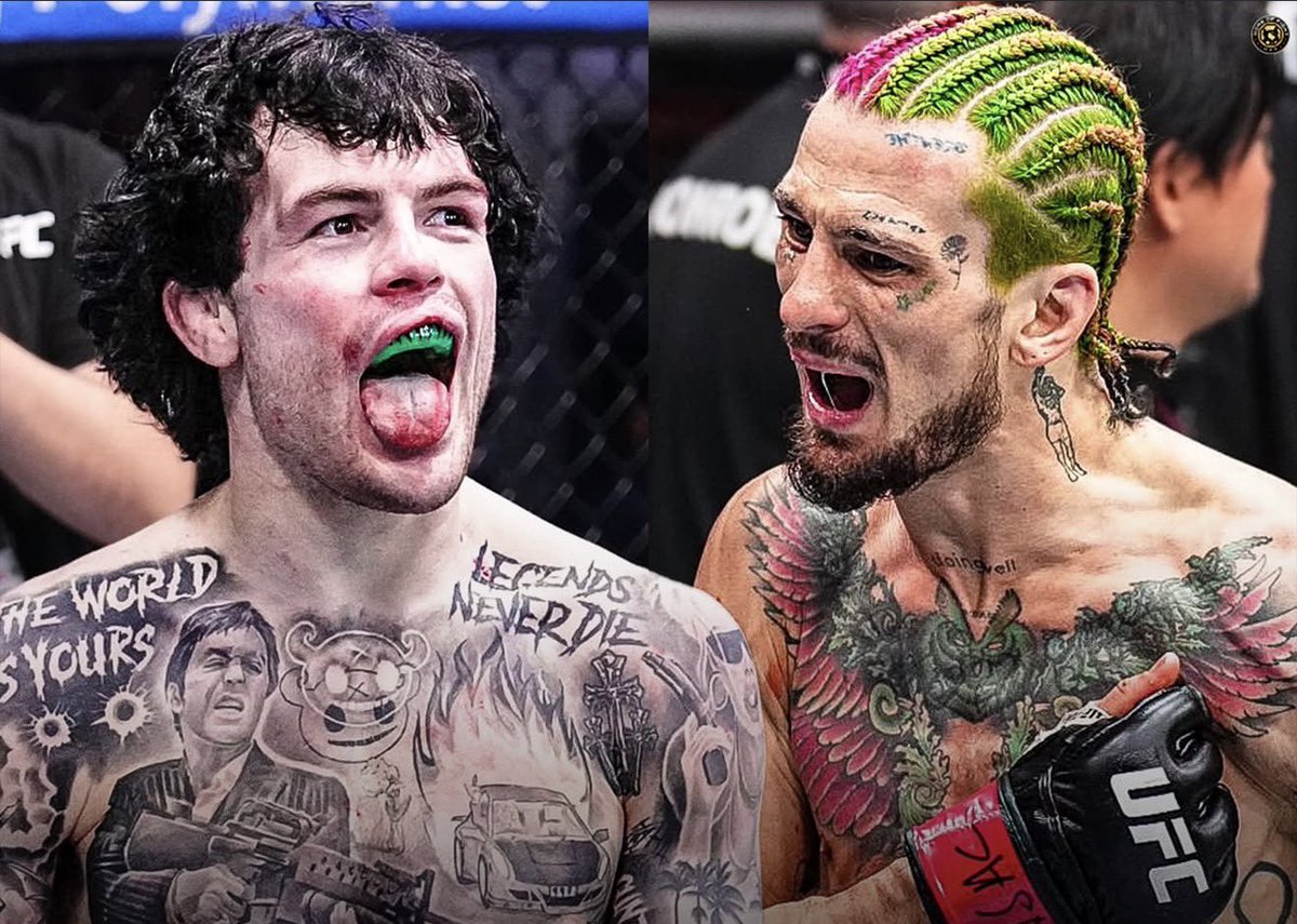 Chicken King MMA tweet media