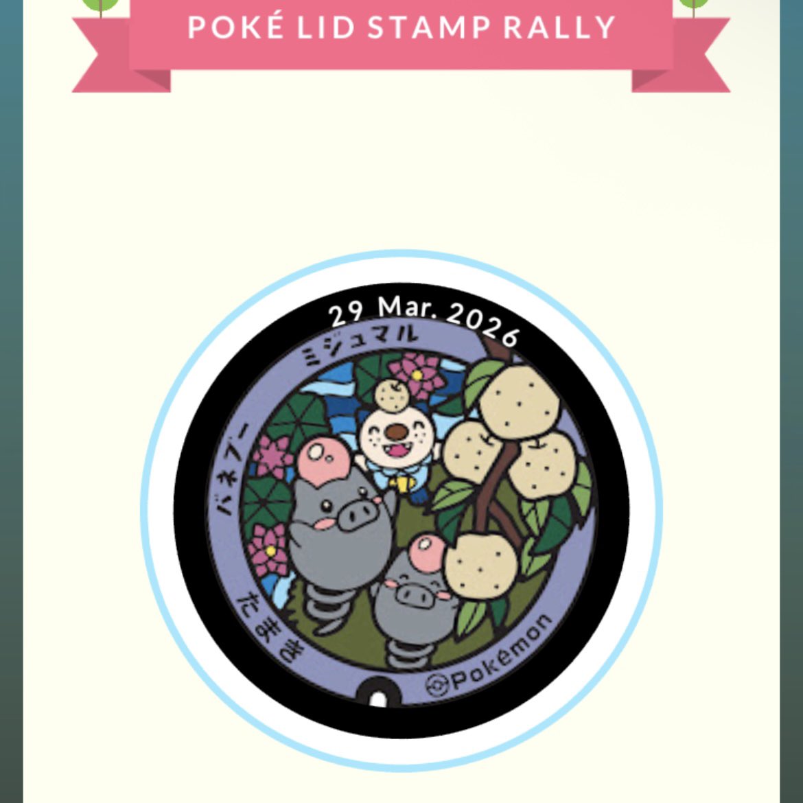 ハル🇦🇺 tweet media