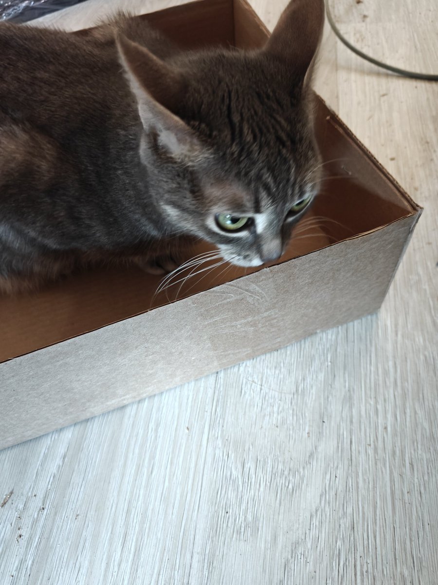 🤍❤️🤍 / 💙💛 / Всратосфера Всратослава tweet media