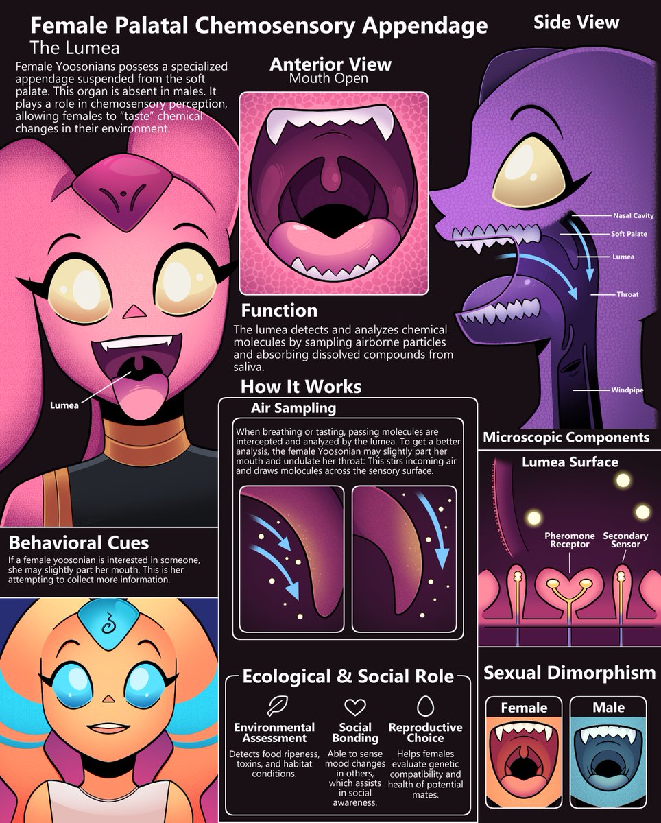 GizGizmGimo tweet media