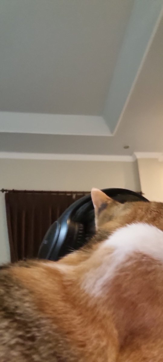 แดฐแตแตโฑแตโฟแต แถ สณแตโฟแถแตหขแถแต หขแตหกแตแตแตแตสณแต tweet media