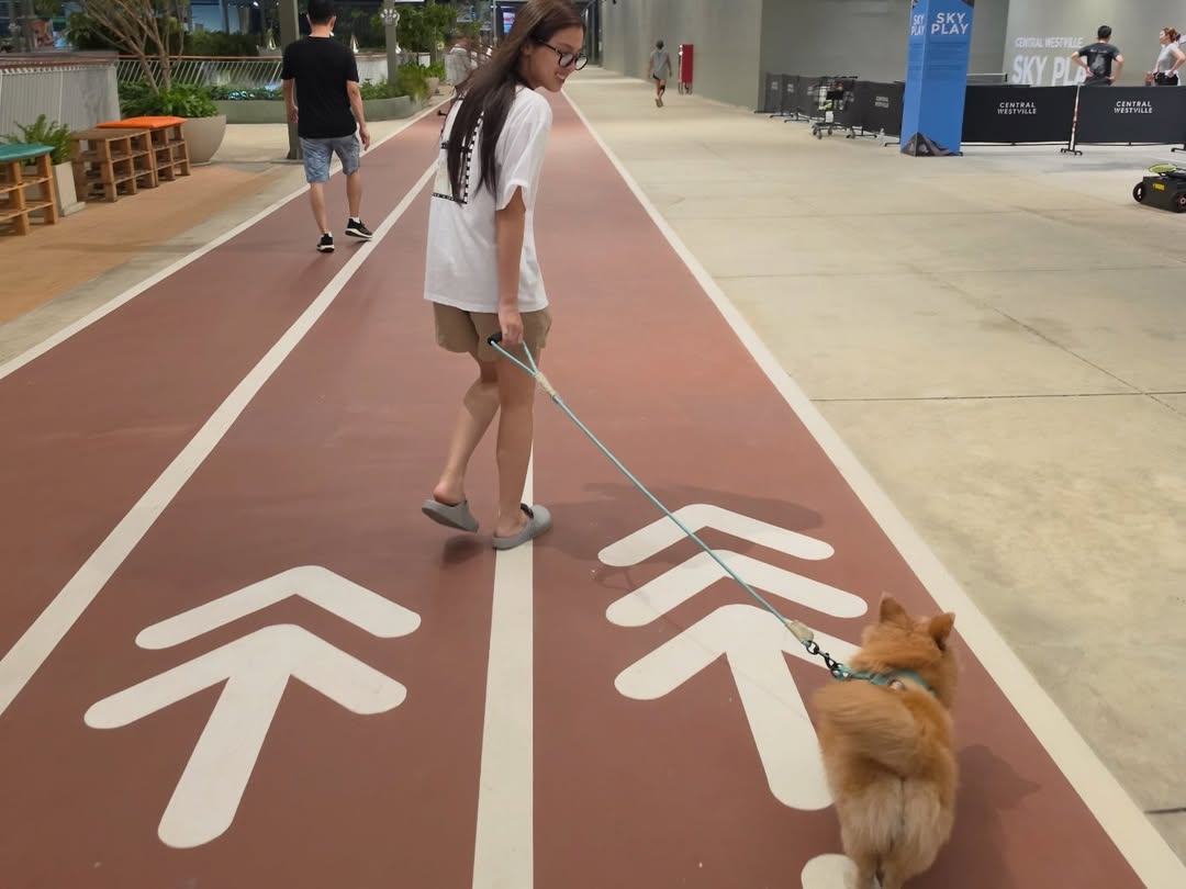 beonnnieteamsup's tweet image. 🆕️ Emiamily ig post update 070426 (1)

-random🐕🦴🤓📂✏️🐾

#EmiBonnie #Emiamily #Beonnnie